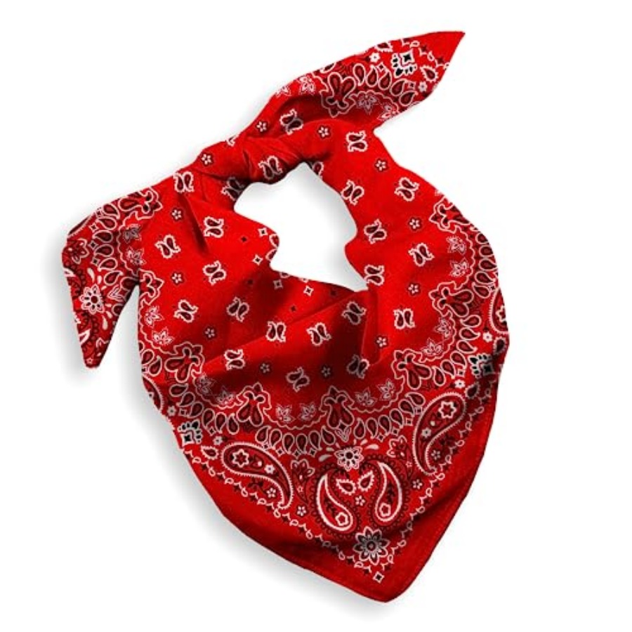 Gift Packaging Bandana for Men - Handkerchief Cotton Men recensione e prezzo